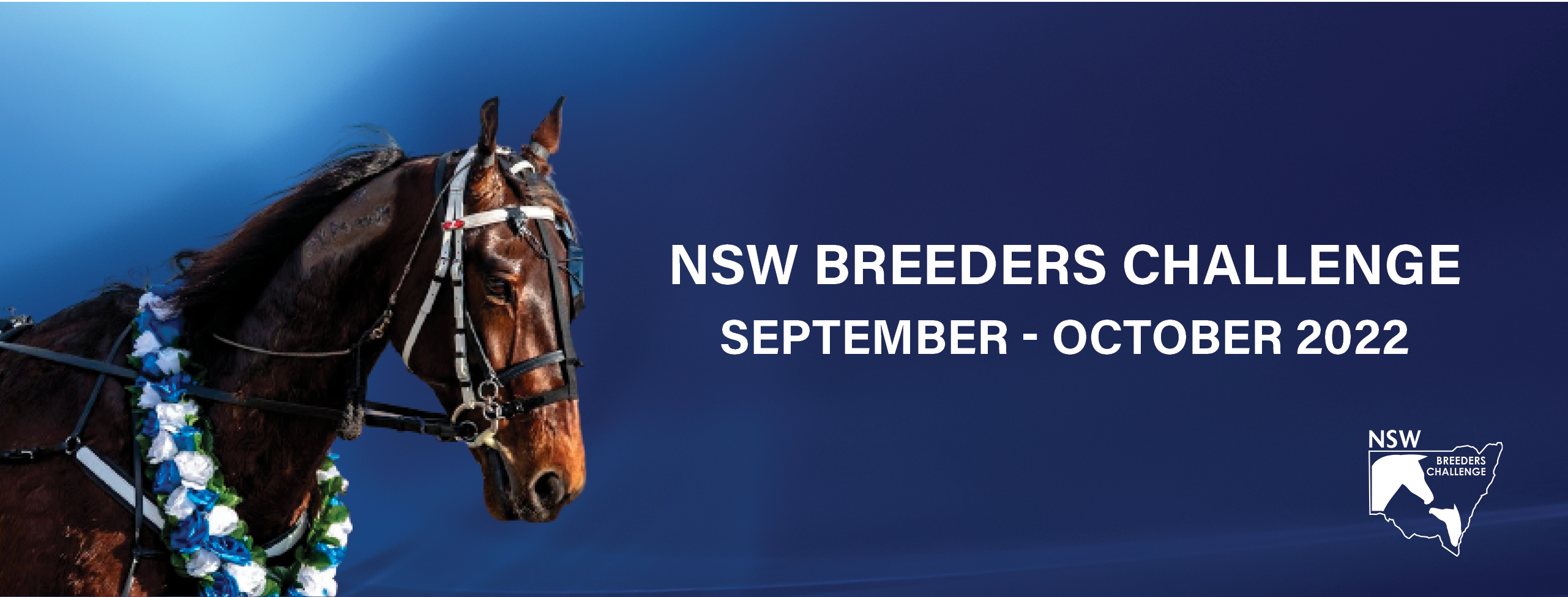 Speed the key in innovative NSW Breeders Challenge FourYearOld Qualifiers